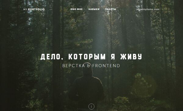 img3295459.png