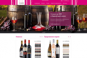 Дизайн сайта EWS