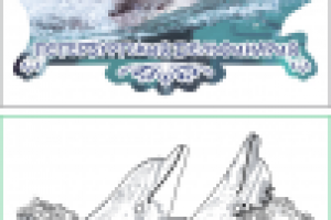 Петербургский Дельфинарий