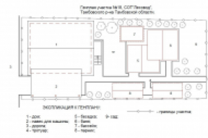 Генплан  участка
