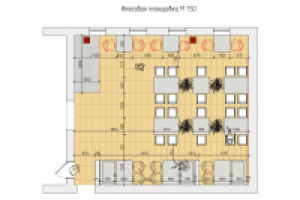 Дизайн кафе "Альбион" г. Тамбов