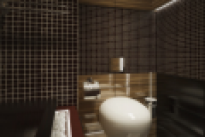 Санузел Хай-тек