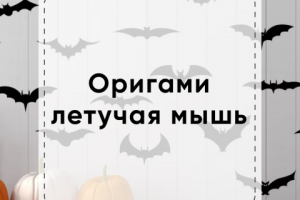 Работа 4000638