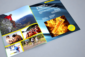 Работа 3648183