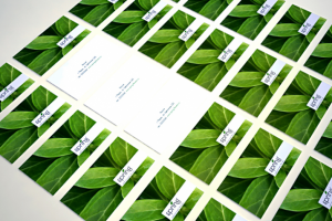 Работа 3648196