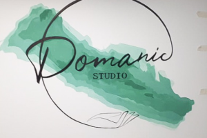 Разработка и создание логотипа "Domanic Studio"