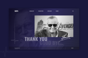 Промо-страница в память о Stan Lee
