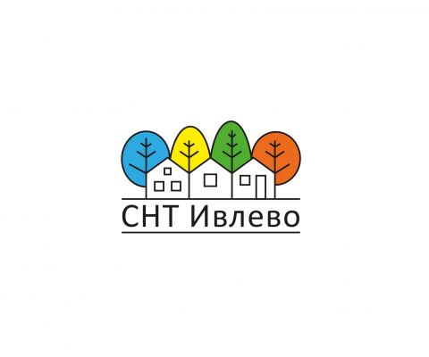 img3803661.png