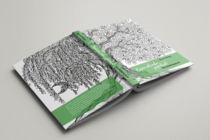 Дизайн обложки