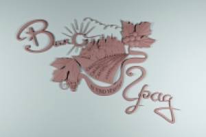 Разработка логотипа в 3d