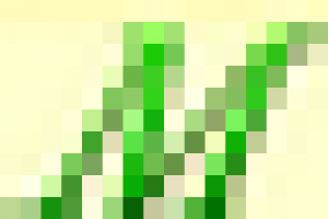 Фавикон для сайта http://www.microfinanse.ru/