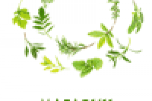 Баннер для магазина лекарственных трав