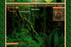 Верстка сайта http://witchpower.ru