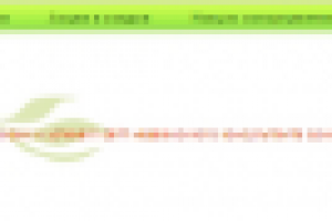 Бюджетный дизайн шапки сайта