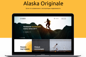Оптовый интернет-магазин ALASKA ORIGINALE