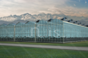 Визуализация тепличного комплекса