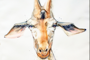 Акварель