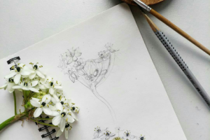 Ботаническая иллюстрация