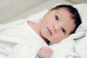 Работа 1310202