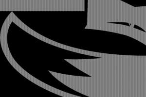 Анимация слогана FoxService