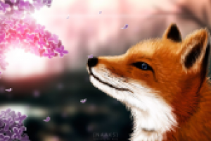 Работа 2441180