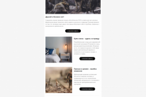 Шаблон эл. письма