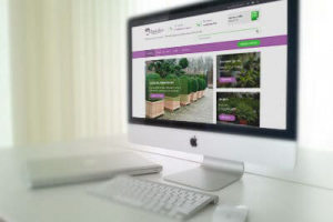 Каталог WordPress