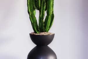 Работа 3995252