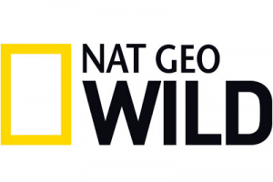 Работа 3810990