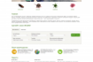 AG Disinfection Services (KZ)