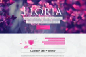 Презентационный сайт ТМ Floria