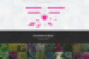 Landing Page для ТМ Floria