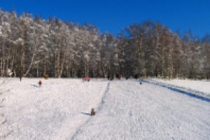 Работа 1017366