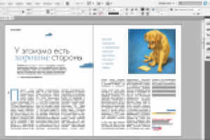 Работа 1017504