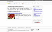Блог на wordpress