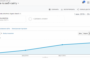 Комплексное продвижение магазина часов