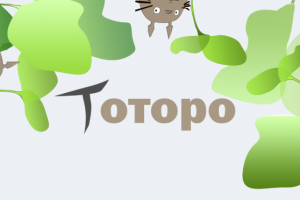 Детская пижама "Тоторо"- презентация макета