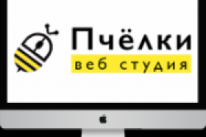 Веб студия "Пчёлки"