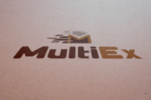 MultiEx