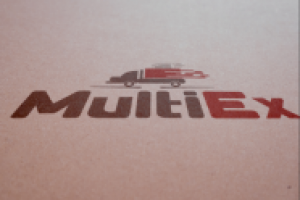 MultiEx