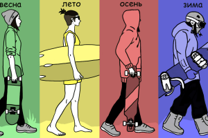 Работа 3862482