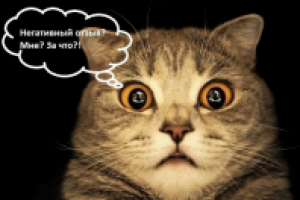 Статья для блога "Как реагировать на негатив в сети"