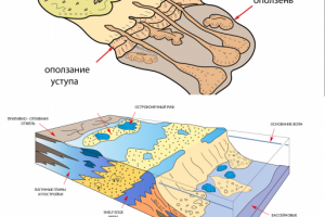 векторные иллюстрации