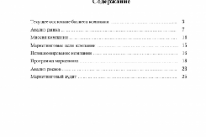 Маркетинговая стратегия инжиниринговой компании "Теплозащита"
