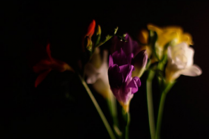 Работа 3174995