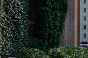 Работа 3174997