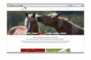 Вэб дизайн для Еquicustom