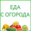 img2704833.png