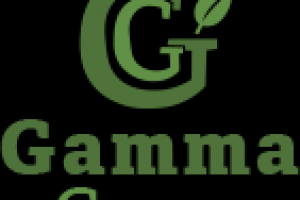 Работа 3668165