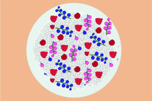 Паттерн ягоды на тарелке